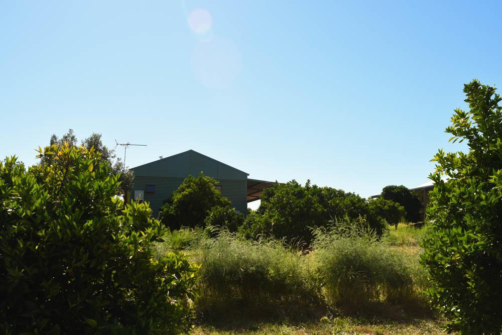 Swan Valley Sisters Henley Brook Esterno foto