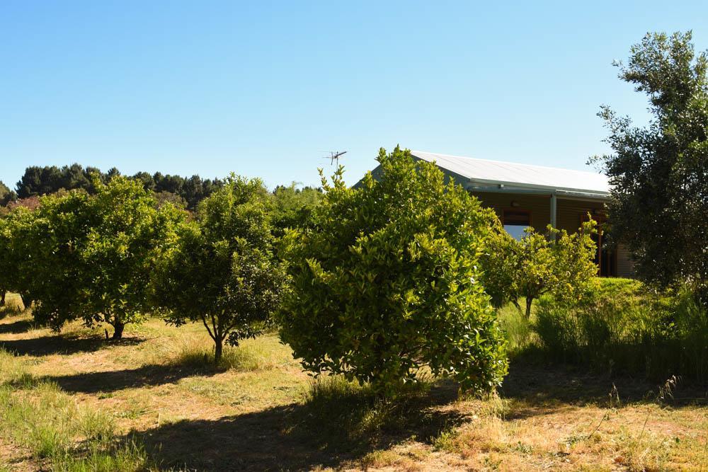 Swan Valley Sisters Henley Brook Esterno foto