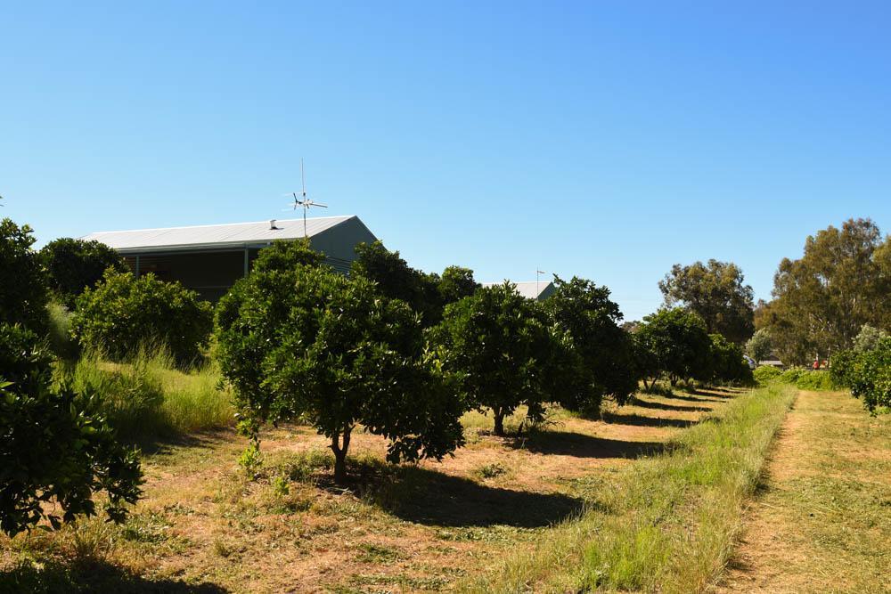 Swan Valley Sisters Henley Brook Esterno foto