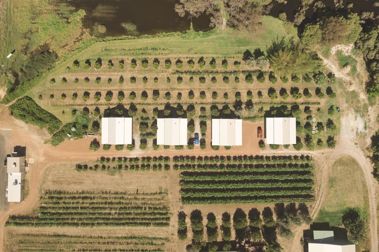 Swan Valley Sisters Henley Brook Esterno foto