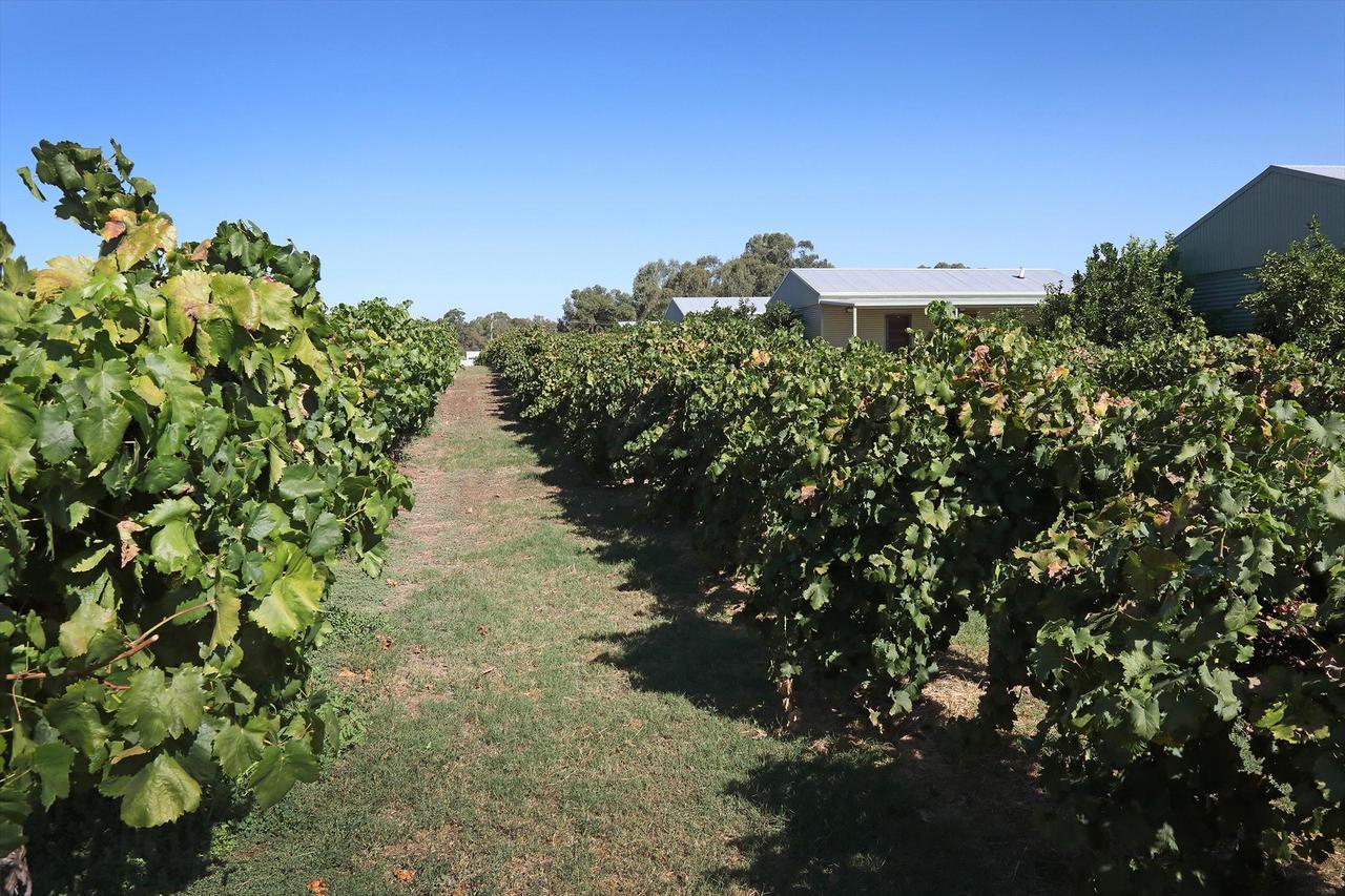 Swan Valley Sisters Henley Brook Esterno foto