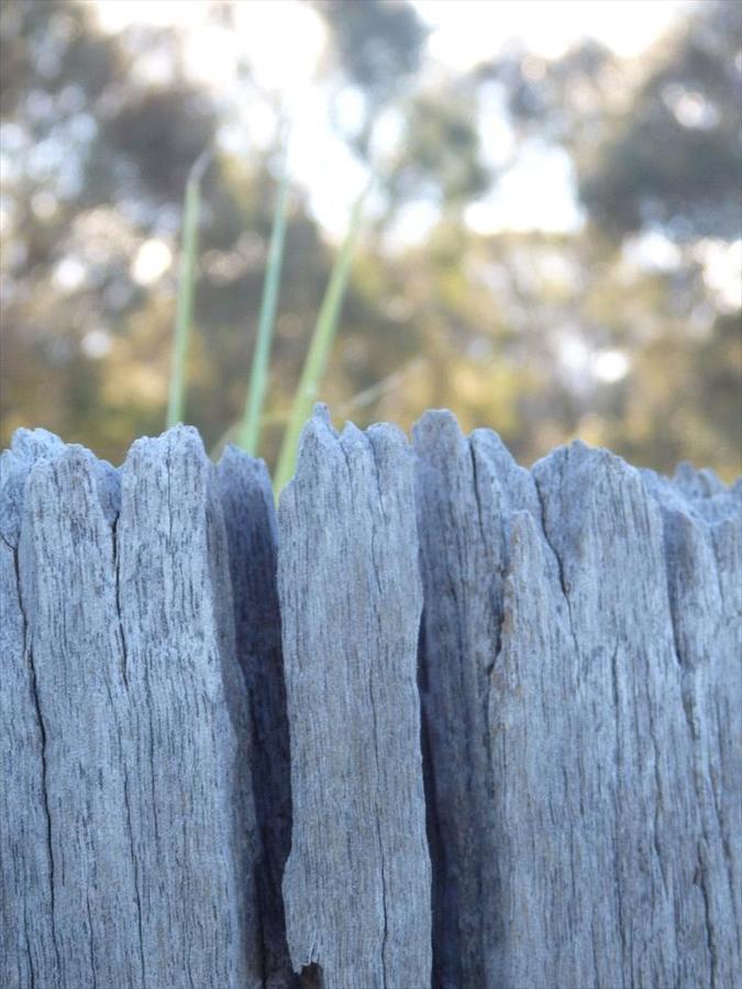 Swan Valley Sisters Henley Brook Esterno foto