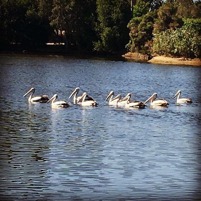 Swan Valley Sisters Henley Brook Esterno foto